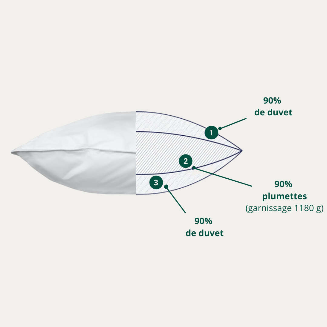 Schéma de l’oreiller Incontournable avec housse en coton et structure en 3 chambres de duvet