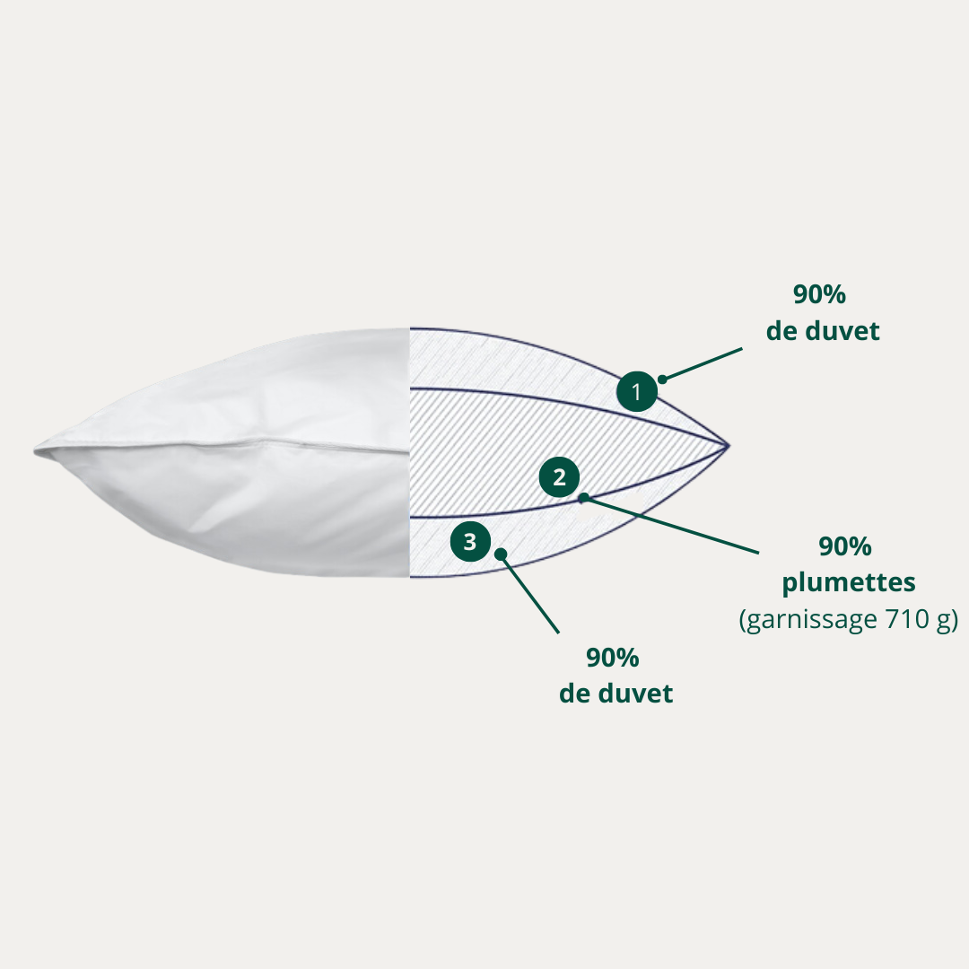 Schéma de l’oreiller Moelleux avec housse en coton et structure 3 chambres pour maintien équilibré