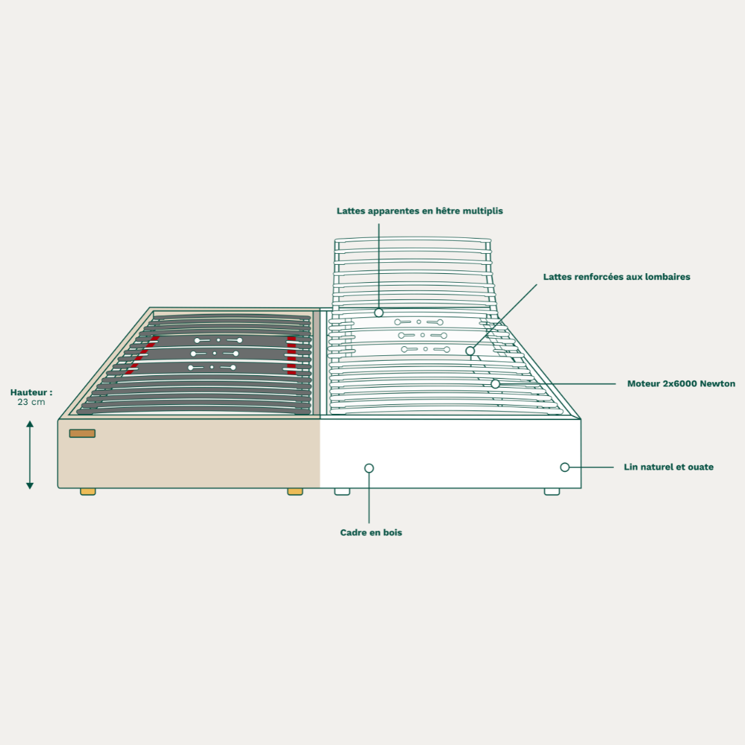 Schéma du sommier Divin électrique Bonnuit, structure articulée avec lattes apparentes et moteur intégré